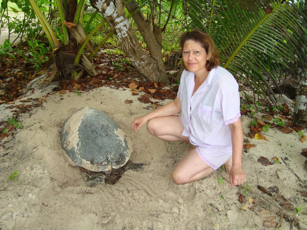 Villa Belle Plage Anse Kerlan Kültér fotó